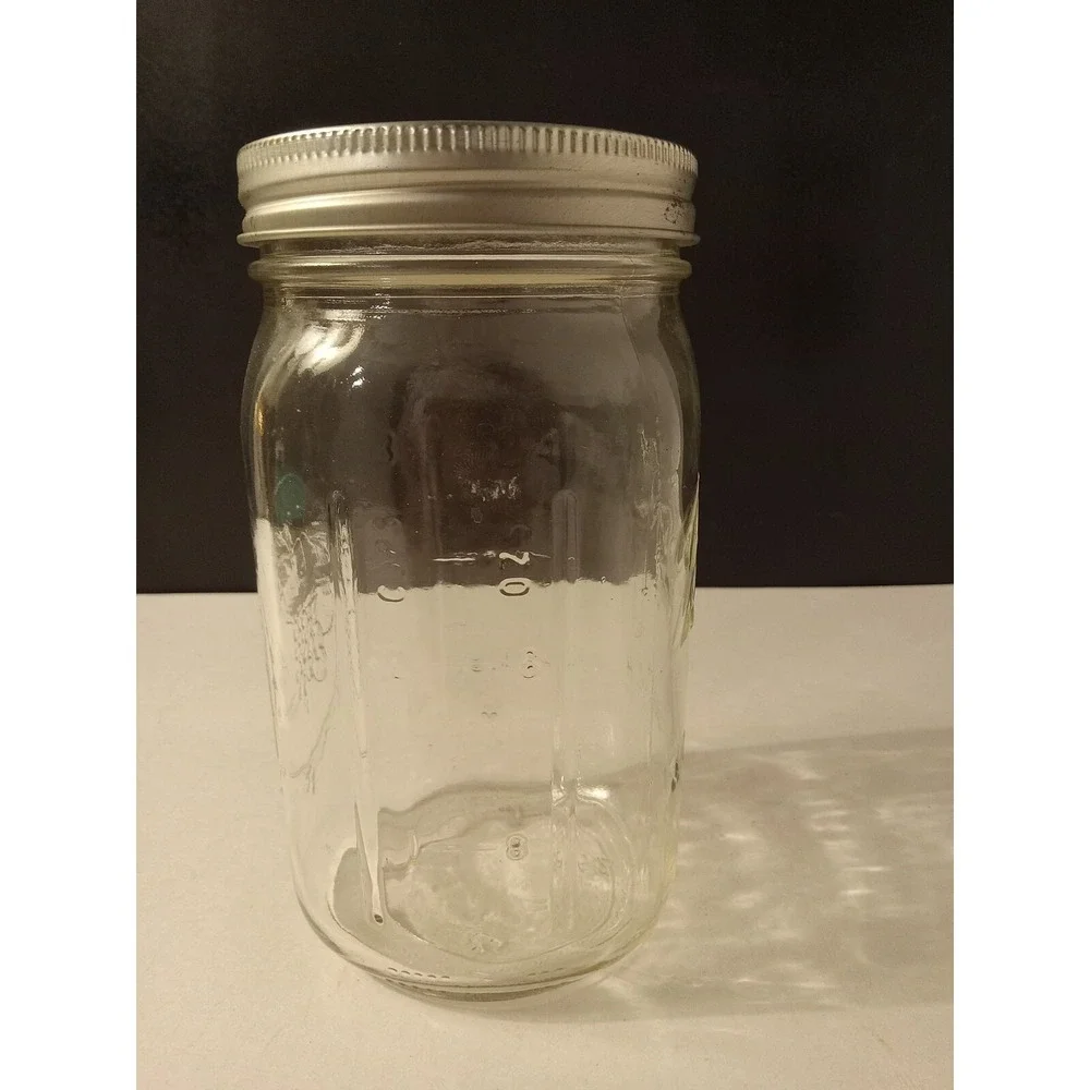 GENUINE Sculptured Grapes Glass Ball #67 Wide Mouth Mason Jar 800ml 3-Cups